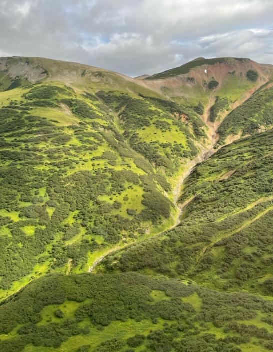 Фото организации