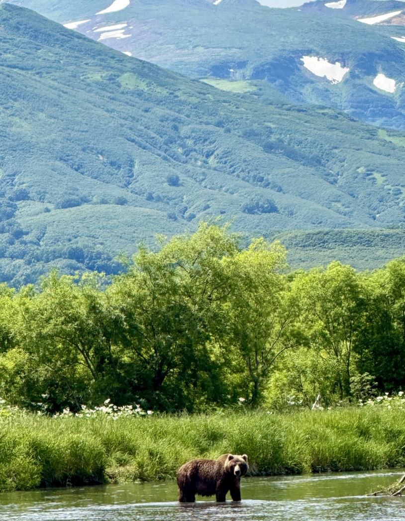 Фото организации