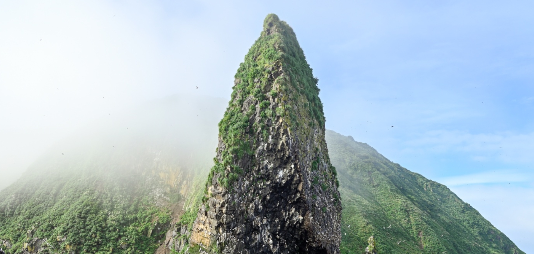 Фото организации