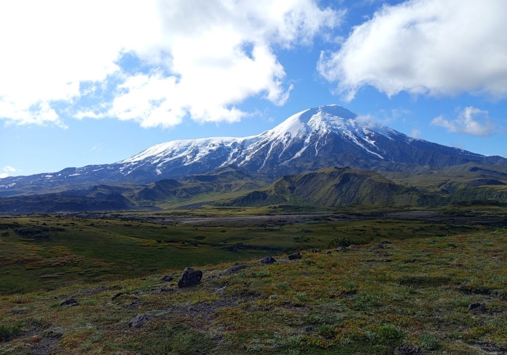 Фото организации