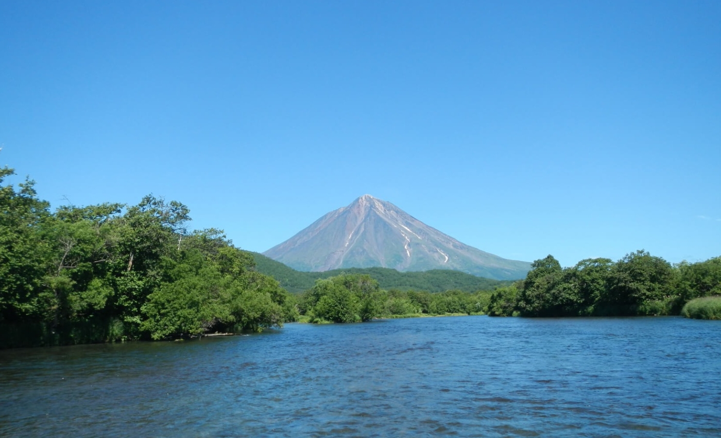 Фото организации