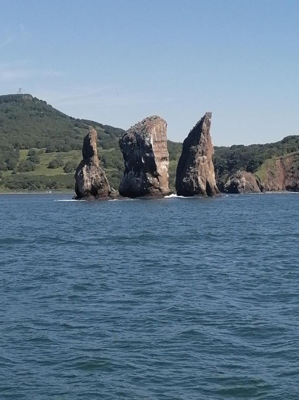 Фото организации