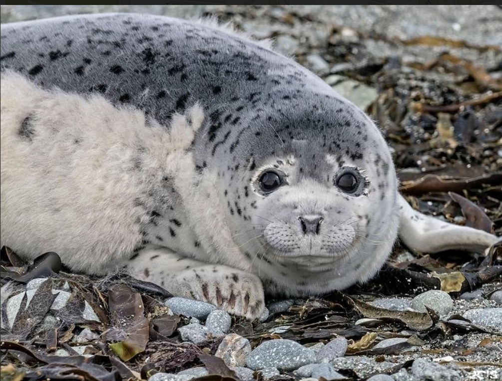 Фото организации