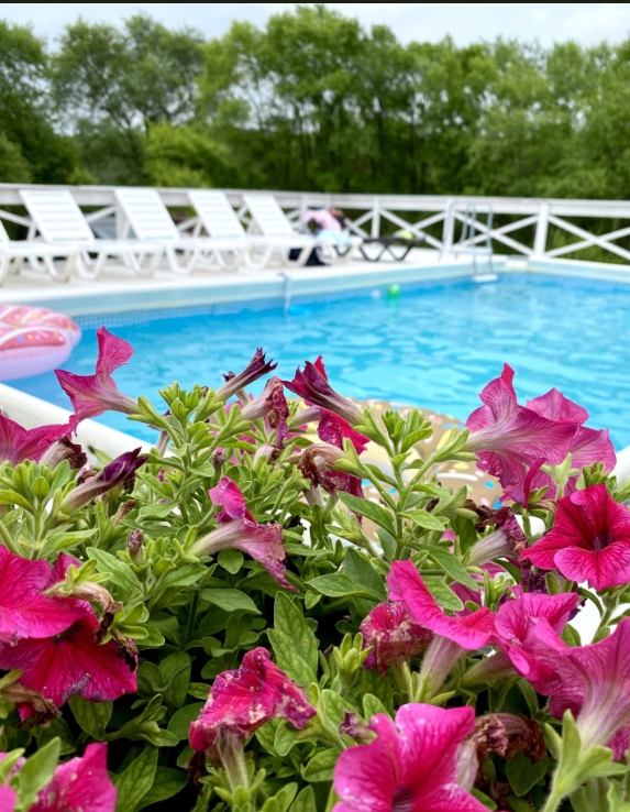 Фото организации