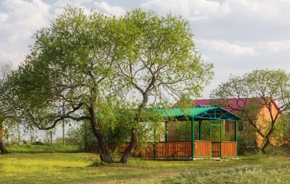 Фото организации