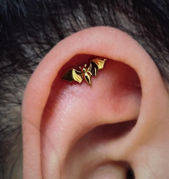 Фото организации