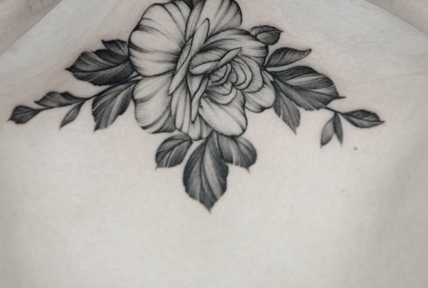 Фото организации