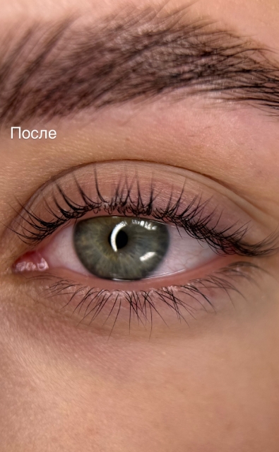 Фото организации