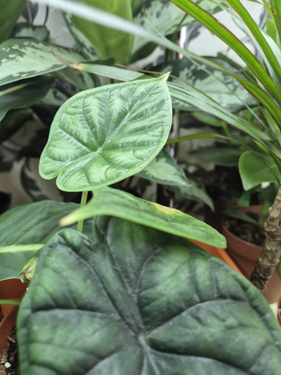 Фото организации