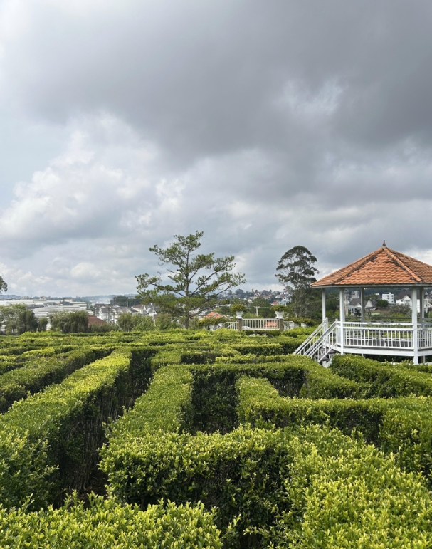 Фото организации