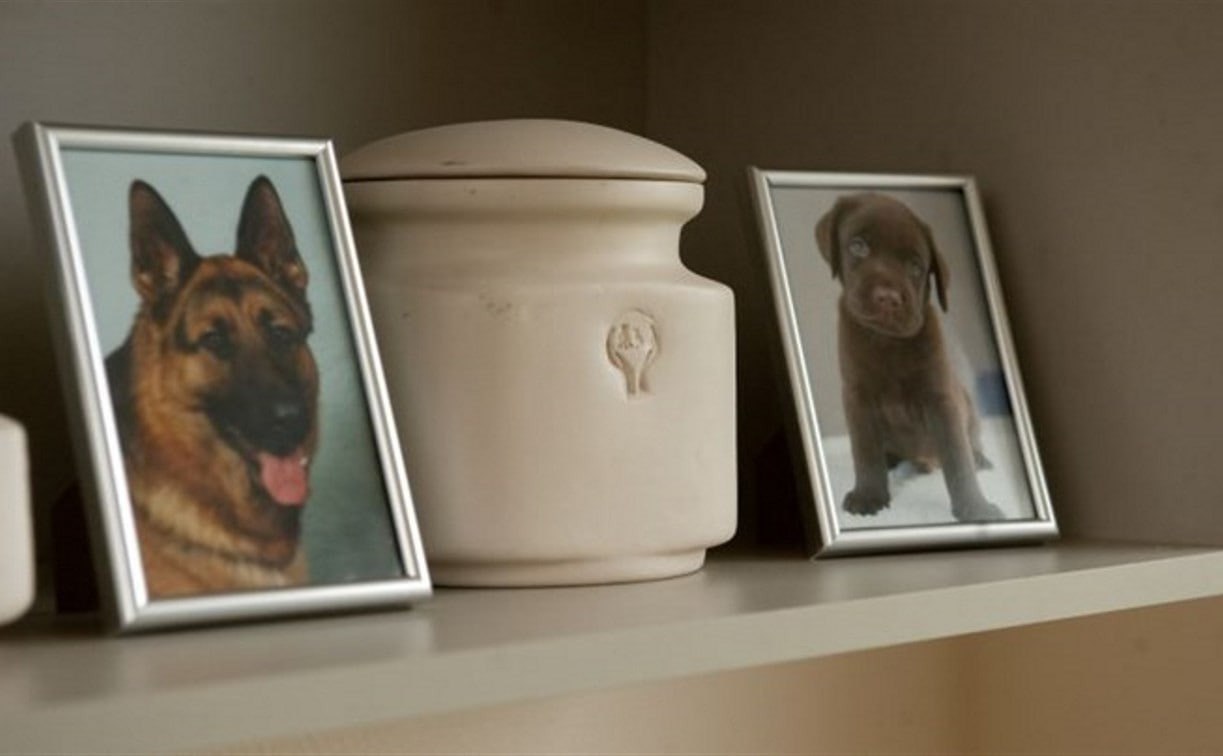 Фото организации