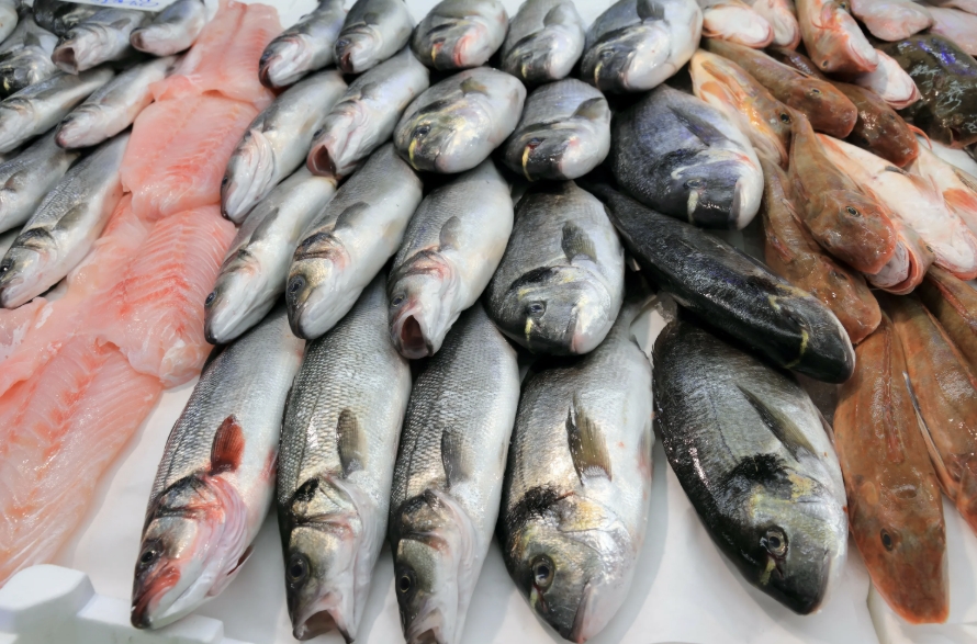 Фото организации