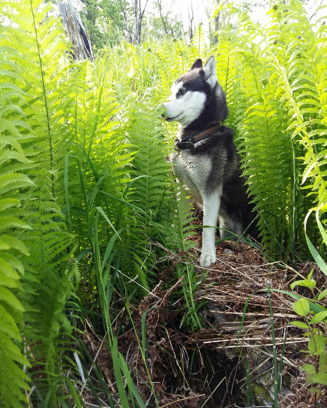 Фото организации