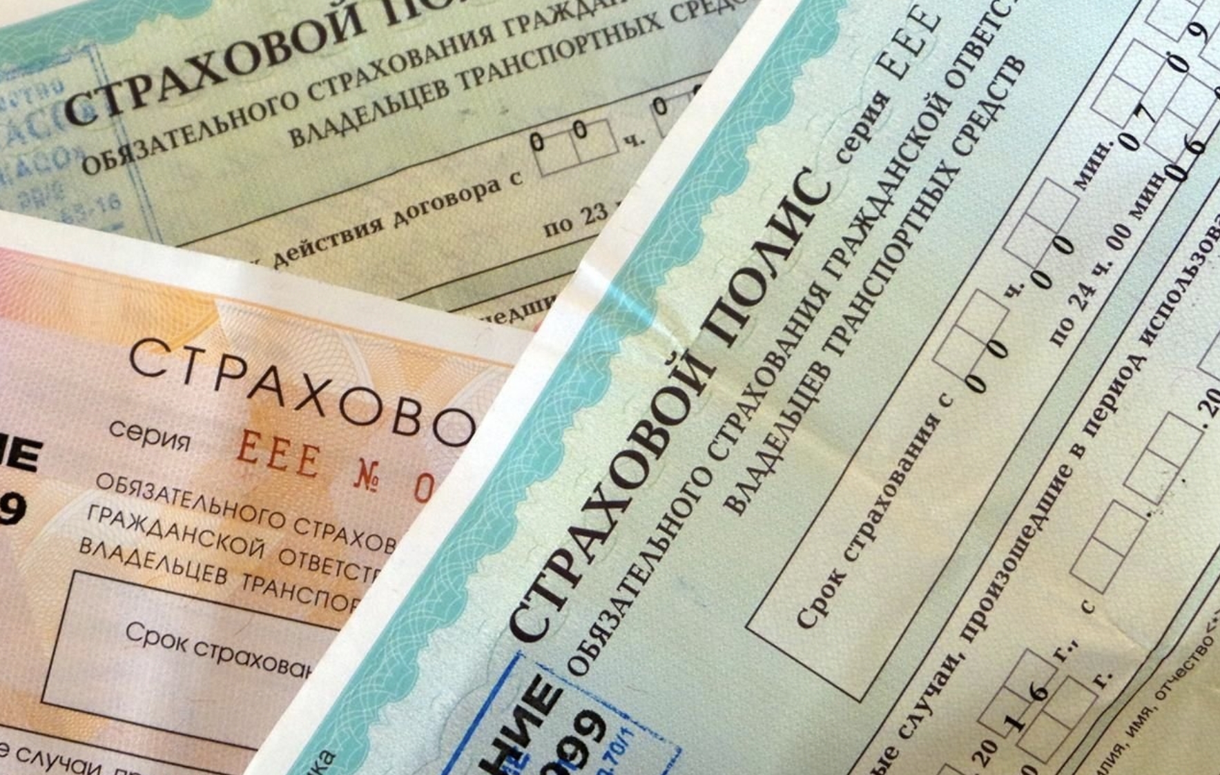 Фото организации