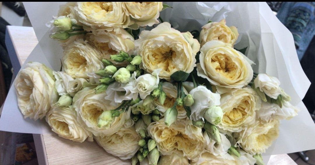 Фото организации