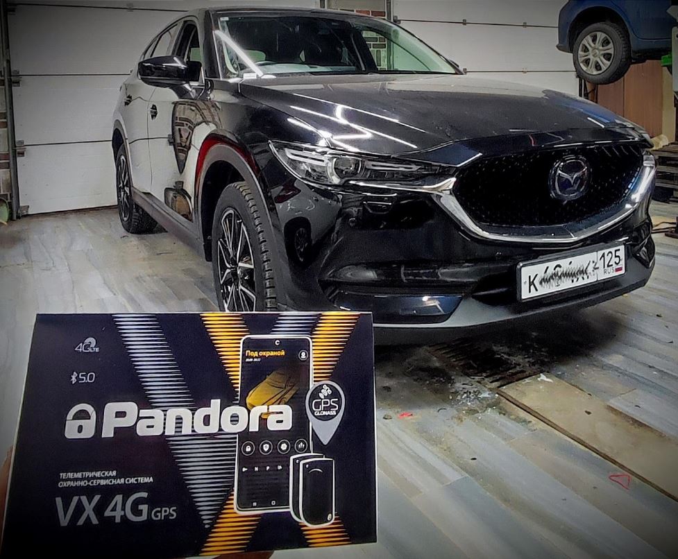 Фото организации