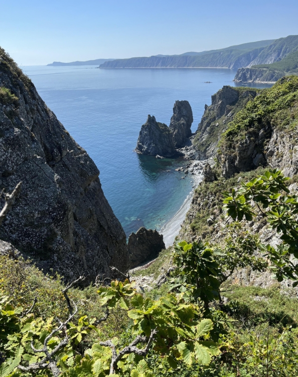 Фото организации